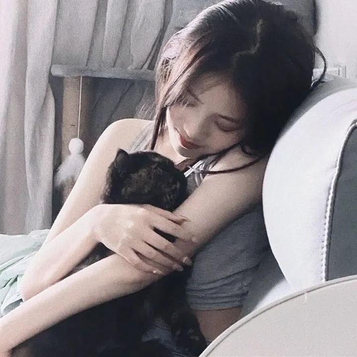 虹猫蓝兔勇者归来