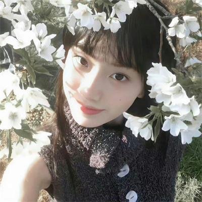 蜜月花车